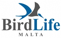 BirdLife Malta logo